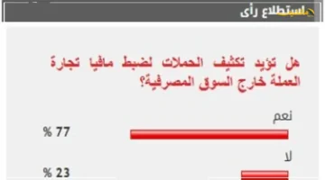 77 يؤيدون بقوة.. هل تستجيب الحكومة لنداءات تكثيف الحملات لضبط مافيا تجارة العملة خارج السوق المصرفية؟ 1
